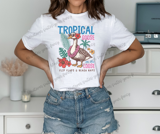 Tropical Goose